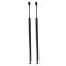 Trunk Lid Lift Support Set