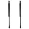 Trunk Lid Lift Support Set