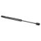 Trunk Lid Lift Support Set