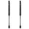 Trunk Lid Lift Support Set