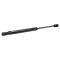 Trunk Lid Lift Support Set