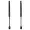 Trunk Lid Lift Support Set