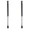 Trunk Lid Lift Support Set