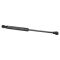 Trunk Lid Lift Support Set