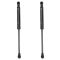 Trunk Lid Lift Support Set