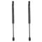 Trunk Lid Lift Support Set