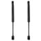 Trunk Lid Lift Support Set