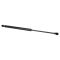 Trunk Lid Lift Support Set