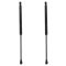 Trunk Lid Lift Support Set