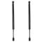 Trunk Lid Lift Support Set