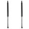 Trunk Lid Lift Support Set