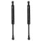 Trunk Lid Lift Support Set