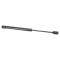 Trunk Lid Lift Support Set