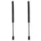 Trunk Lid Lift Support Set