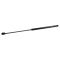 Trunk Lid Lift Support Set