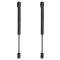 Trunk Lid Lift Support Set