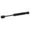 Trunk Lid Lift Support Set