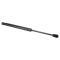 Trunk Lid Lift Support Set