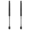 Trunk Lid Lift Support Set