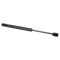 Trunk Lid Lift Support Set