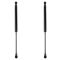 Trunk Lid Lift Support Set