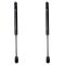 Trunk Lid Lift Support Set