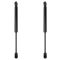 Trunk Lid Lift Support Set