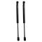 Trunk Lid Lift Support Set