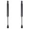 Trunk Lid Lift Support Set