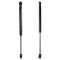 Hood Lift Support Set