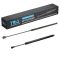 Hood Lift Support Set