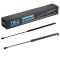 Hood Lift Support Set