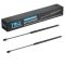 Hood Lift Support Set
