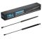 Liftgate Lift Support Set