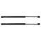 Back Glass Lift Support Set