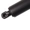 Liftgate Lift Support