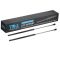 Liftgate Lift Support Set