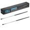 Liftgate Lift Support Set