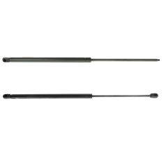 Liftgate Lift Support Set