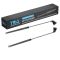 Liftgate Lift Support Set