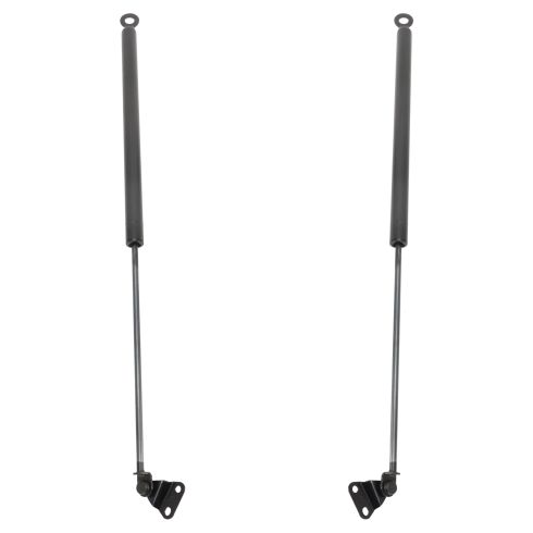 Liftgate Lift Support Set