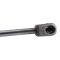 Trunk Lid Lift Support
