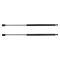 Trunk Lid Lift Support Set