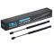 Hood Lift Support Set