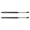 Hood Lift Support Set