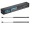 Hood Lift Support Set