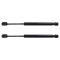 Trunk Lid Lift Support Set