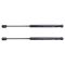 Trunk Lid Lift Support Set