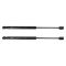 Trunk Lid Lift Support Set