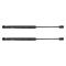 Trunk Lid Lift Support Set